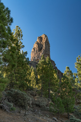 Roque Nublo  Kurze Rundwanderung auf Gran Canaria  Wandern-Gran-Canaria 10