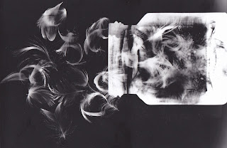 Graphic Design Blog: Photography Darkroom Workshop 1 - Rayograms