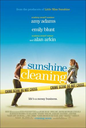 sunshune-cleaning