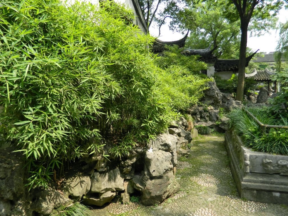 Lingering Garden Suzhou bamboo path by garden muses-Toronto gardening blog Lingering Garden Suzhou bamboo path by garden muses-Toronto gardening blog