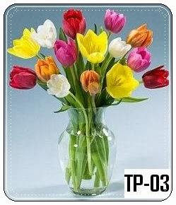 Tulips for Mother day