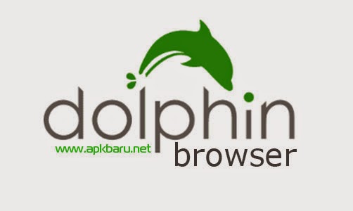 Dolphin Browser v11.4.16 Apk
