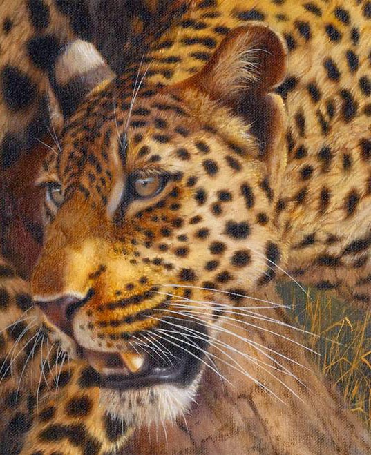 Jean Abrie, 1962 | Figurative / Wildlife painter | Tutt'Art@ | Pittura ...