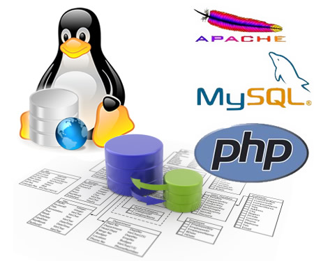 Instalasi Apache, PHP, MySQL di Ubuntu