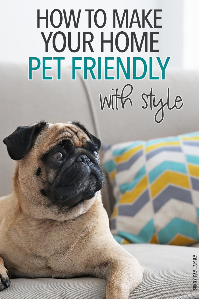 How to Make Your Home Pet Friendly with Style Sunny Day Family