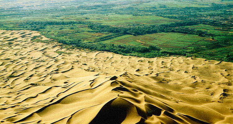 China Is Combating Desertification By Planting A Great Green Wall of Trees