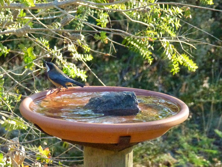 mycamerandme365: March 2014