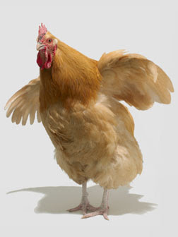 tromaktiko1.jpg