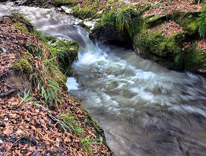 Stream Water Flow