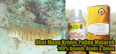 Obat Maag Kronis Paling Mujarab Obat Maag Kronis Paling Mujarab