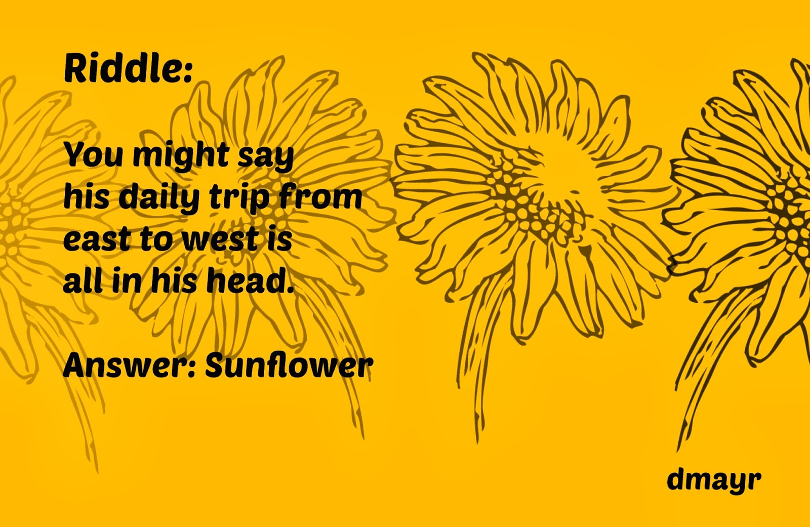 Random Noodling: Poetry Friday--Beyond the Rainbow