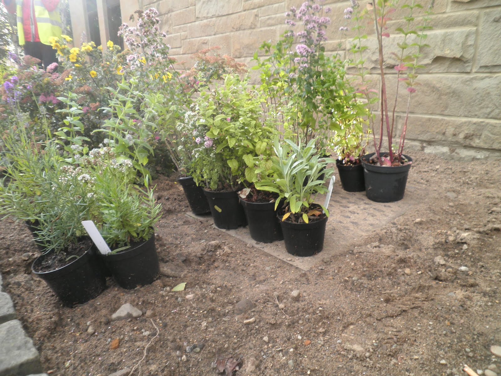 Friends of the Earth Falkirk ASDA Garden Takes Shape