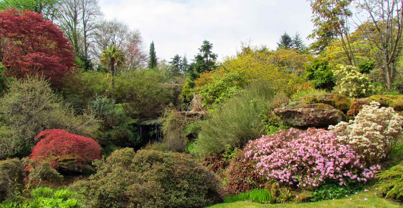 Woodlouse House Bute Gardens