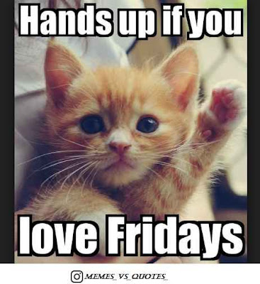 hands up if you love fridays