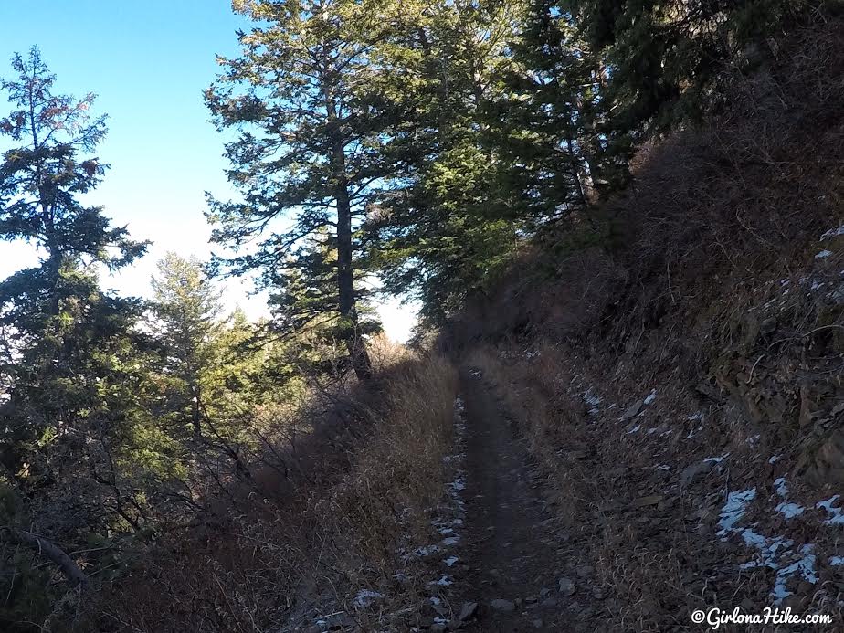 Hiking the Sardine Peak Loop, Snowbasin Girl on a Hike