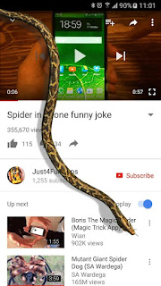 Snake On Screen Hissing Joke APK Snake On Screen Hissing Joke APK