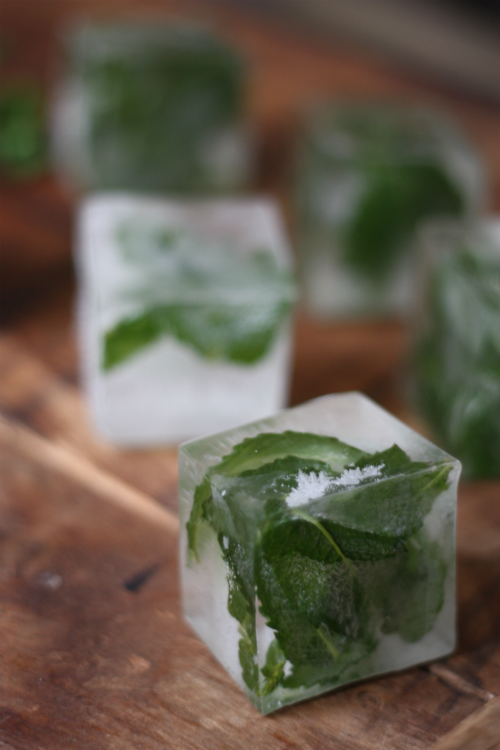 How To Mint Infused Ice Cubes 17 Apart