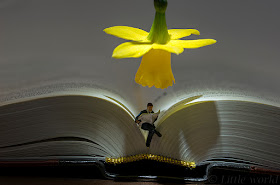 little-world-the-big-fun-of-photography-with-small-things-6__880
