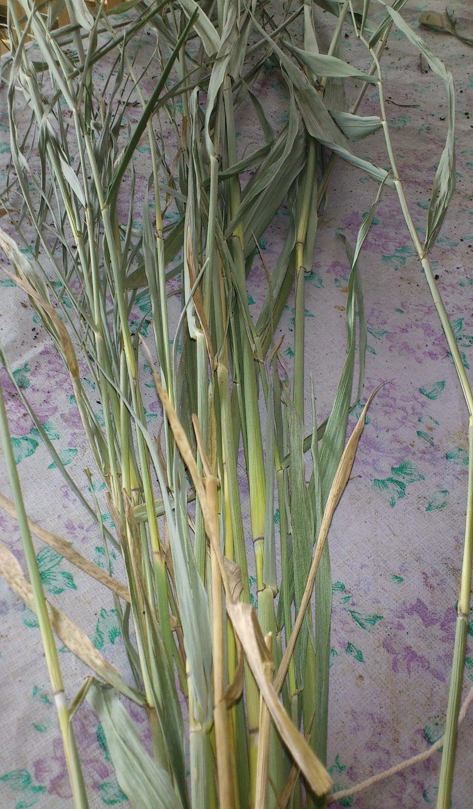 Just Like My Nan Made Vermin & Basket Weaving with raw materials