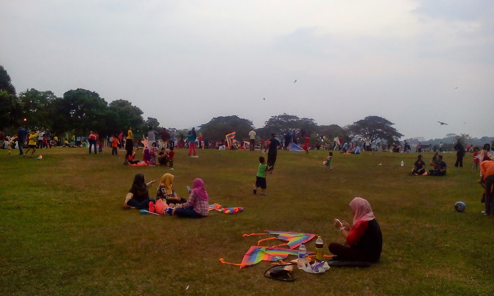 CiNtA HaTi Ku: jom kite ke taman layang layang, selayang