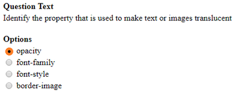 NIIT Responsive Web Design. (RWD) cycle test-2
