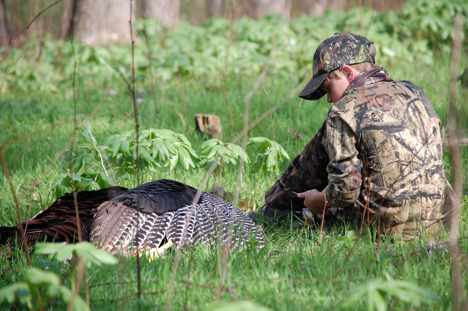 Bruce Sassmann Governors Spring Youth Turkey Season
