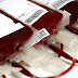 Sangue Bom