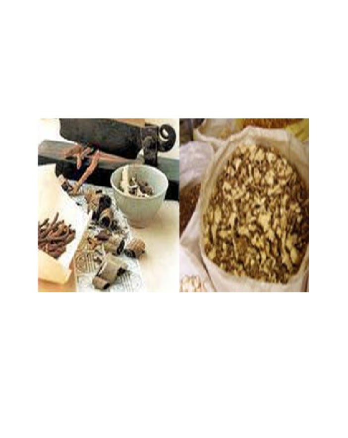 KIM Seon Ho Oriental Medical Clinic Herbal Acupuncture treatments