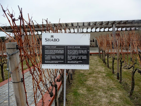 Шабо. Центр культуры вина. Виноградный сад