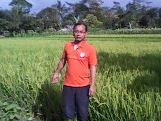 Caleg Dapil V Kabupaten Bogor