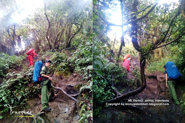 Pendakian Gunung Kerinci via Kersik Tuo