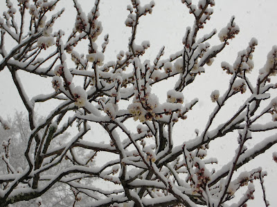 ��̓��c��