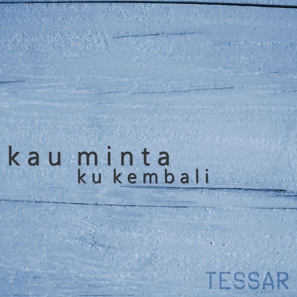 Tessar - Kau Minta Ku Kembali