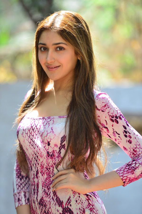 Sayesha Saigal Spicy Photoshoot Stills