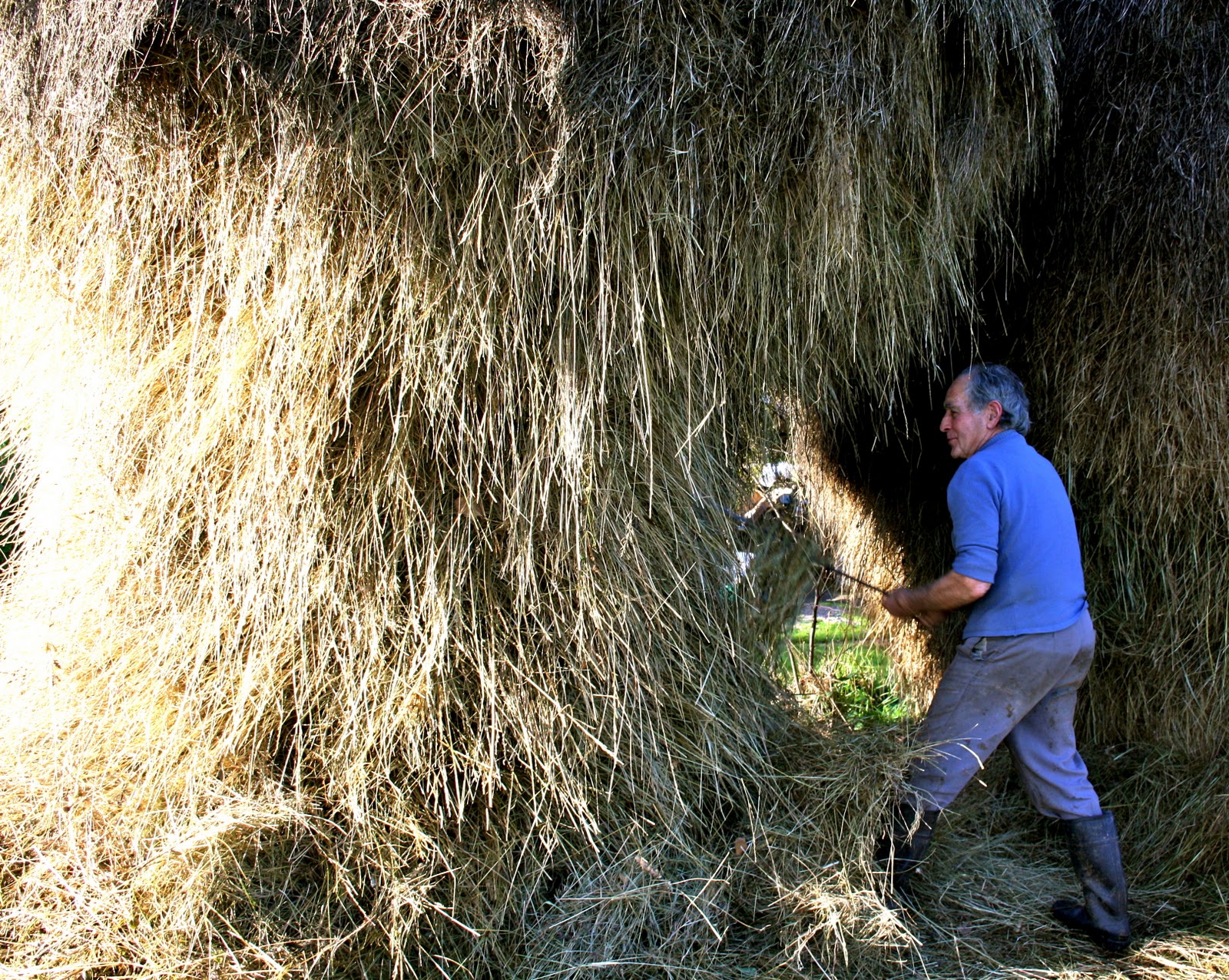 El Camino de Santiago desde Asturias: "Facina"