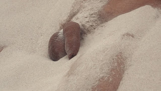 http://nats.kinkyangels.com/track/MjA4NzE5LjIuMy4zLjAuODQ2LjAuMC4w