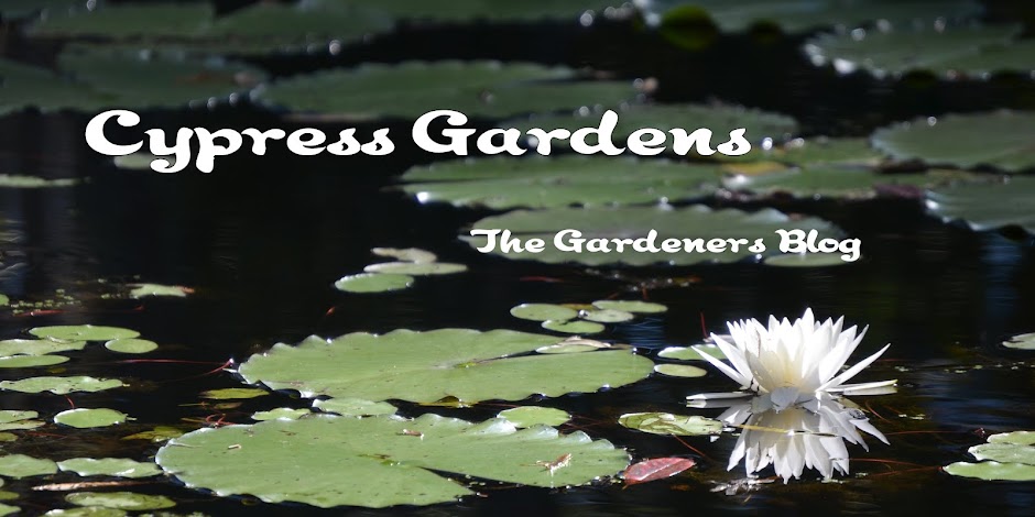 The Garden Ramblers Blog