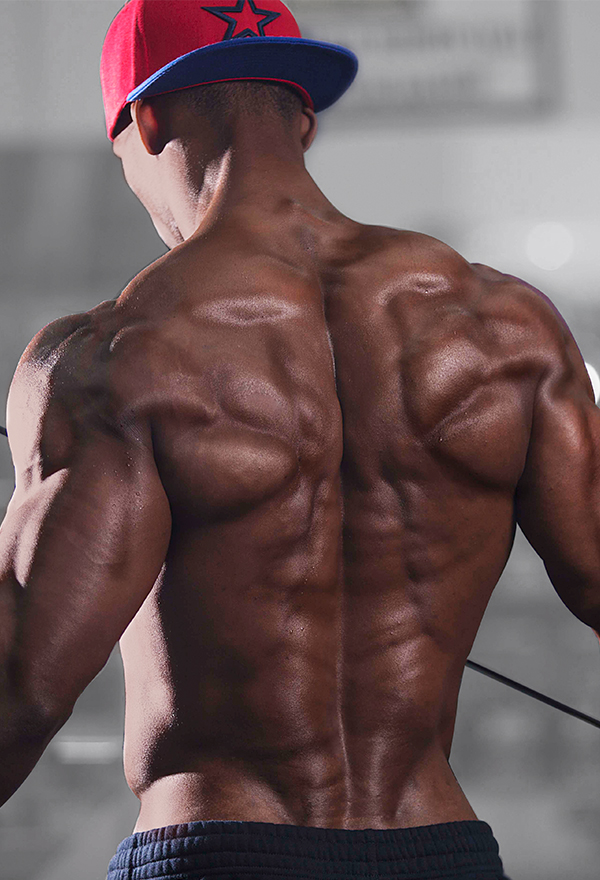 Max Philisaire West Hollywood Personal Trainer West Hollywood Hills