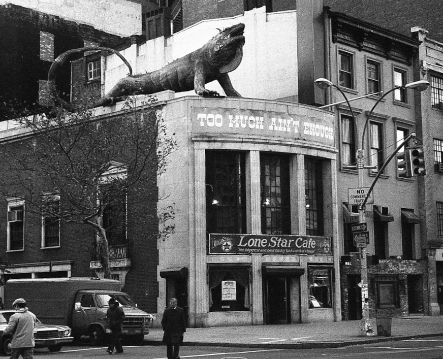 Iguana Restaurant New York Iguana Restaurant New York