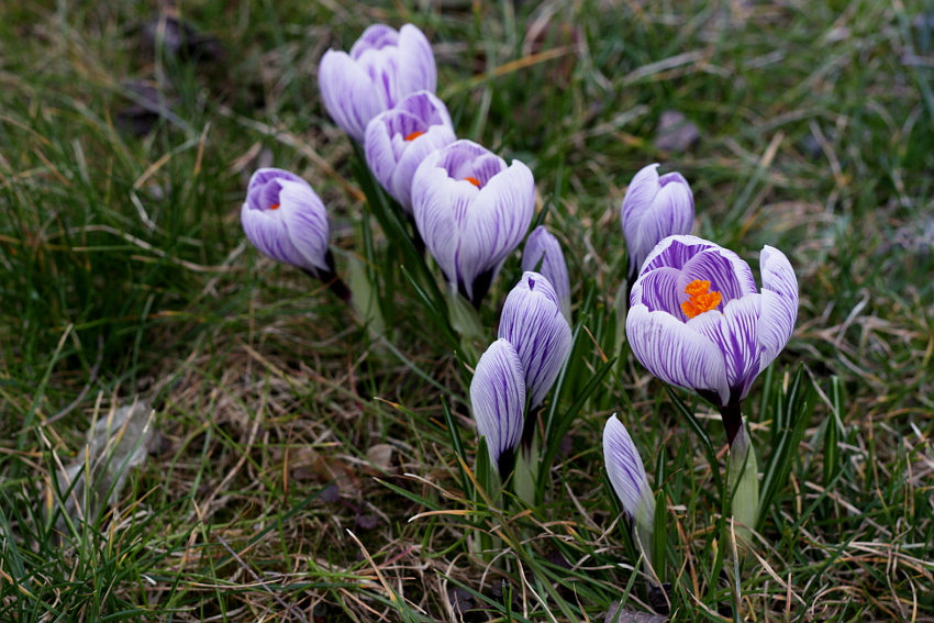 восьмого марта