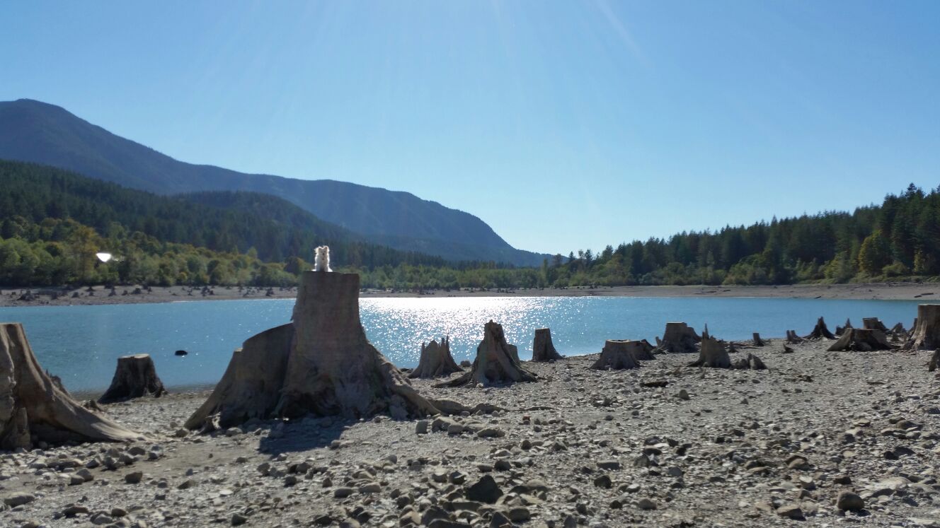 Sew DoggyStyle Rattlesnake Lake and Rattlesnake Ledge Hike