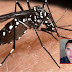 Dengue, Sika y Chikungunya, enfermedades sociales y ambientales: