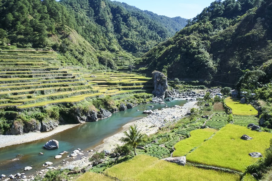 Rice Terraces in Northern Luzon