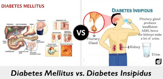daun binahong untuk diabetes cara merebus daun binahong, resep daun binahong untuk diabetes, daun binahong untuk luka diabetes, aturan minum daun binahong, efek samping konsumsi daun binahong, khasiat daun binahong untuk rematik, makan daun binahong mentah, cara mengkonsumsi daun binahong untuk kesehatan