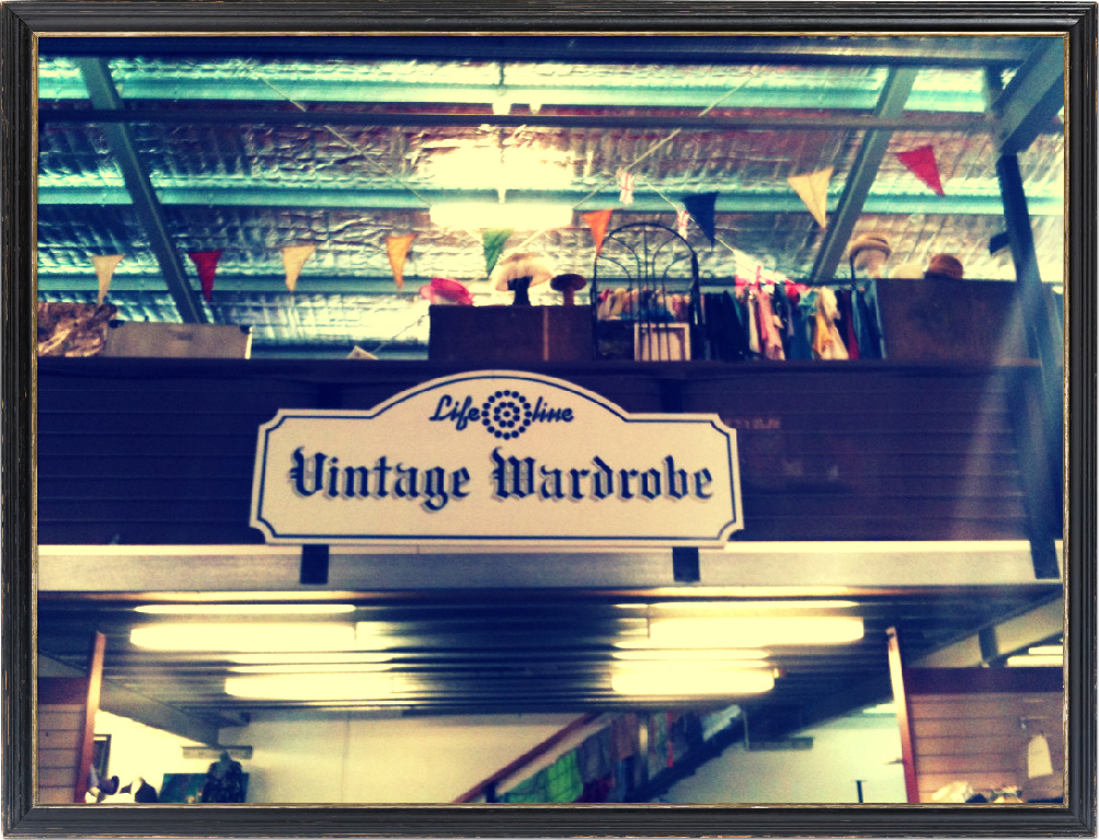 Rayon Dreams in a Cheesecake World Toowoomba Vintage Shopping