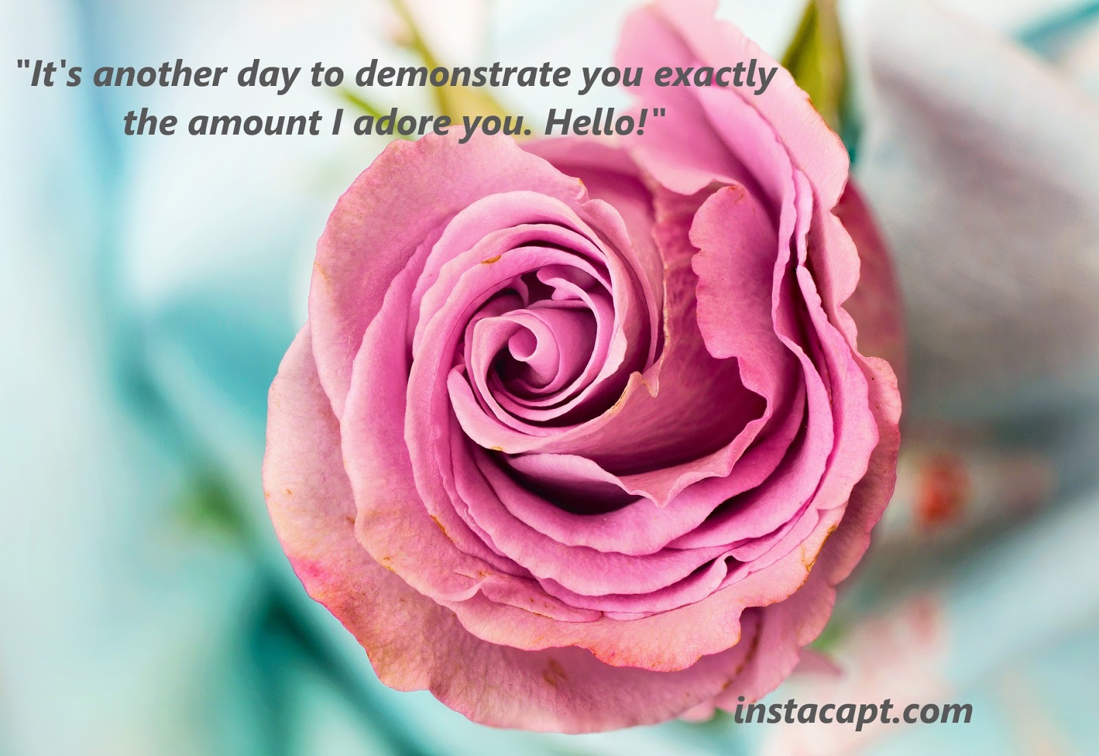 Love Quotes https://www.instacapt.com/2018/09/best-good-morning-love-quotes.html