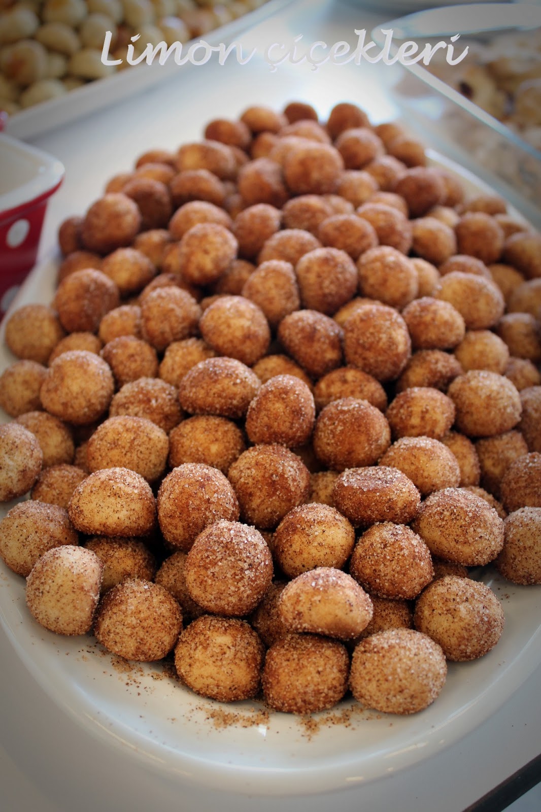 Limon Çiçekleri Antalya�lı bloggerlar ve pasta süsleme etkinliğimiz..
