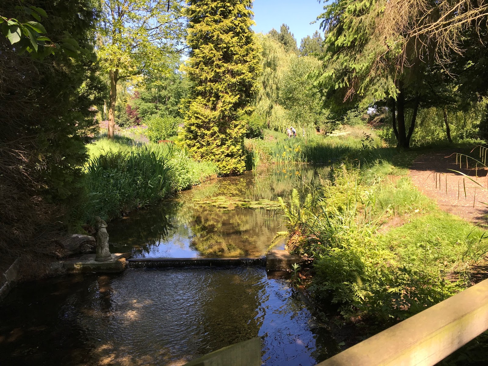 Ramblings from an English Garden Gooderstone Water Gardens, Norfolk