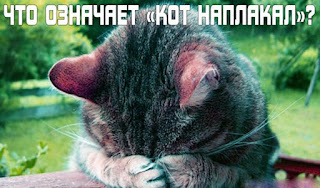 %25D0%25BA%25D0%25B8%25D1%2581%25D0%25B0