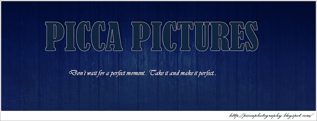 Picca Pictures...